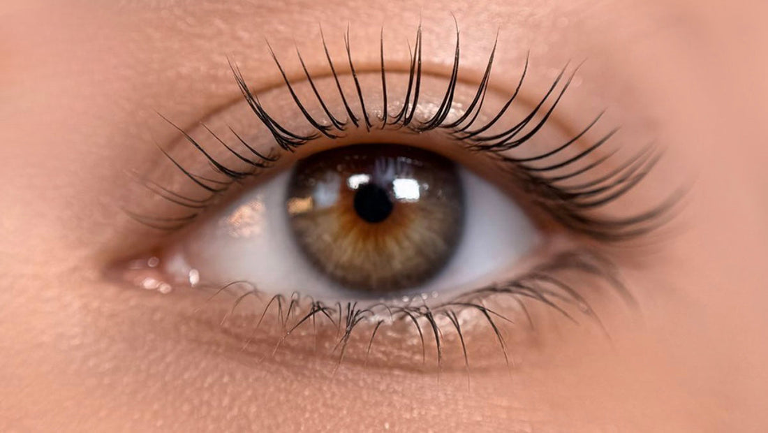 The best lash lift solutions — lift and define with confidence